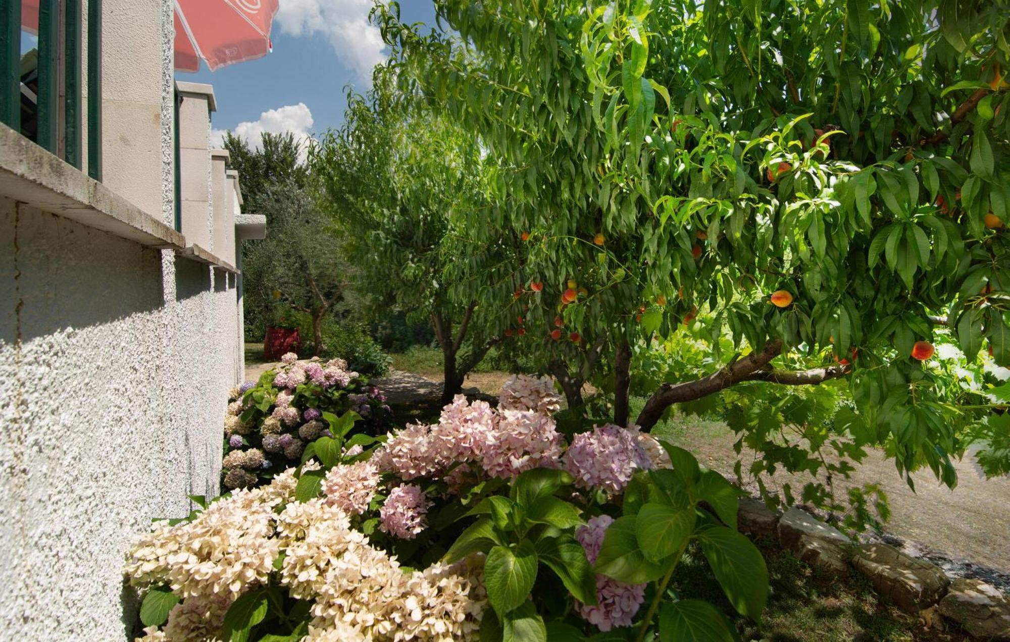 Cozy Home In Podaspilje With Kitchen Svinisce المظهر الخارجي الصورة